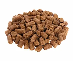 Protect Your Pup: The Crucial Role Of Flea And Tick Prevention For Dogs