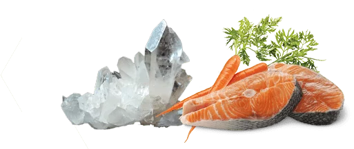 Lachs und Karotten als Symbol für gesundes Reico Futter